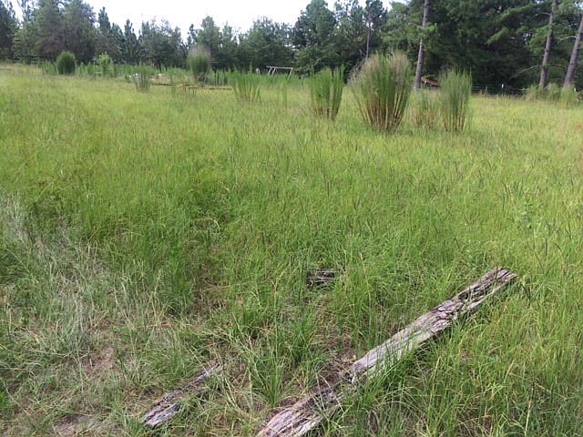 2nd image of 142 Golf Course Rd