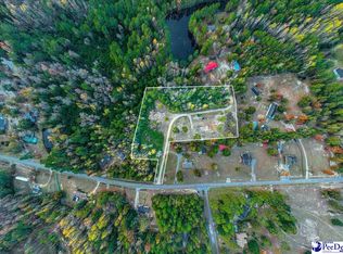 6955 Rose Ct, Nichols, SC 29581