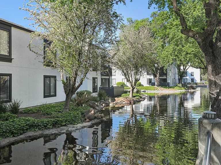 Park Lake at Walnut Creek — Photo 29