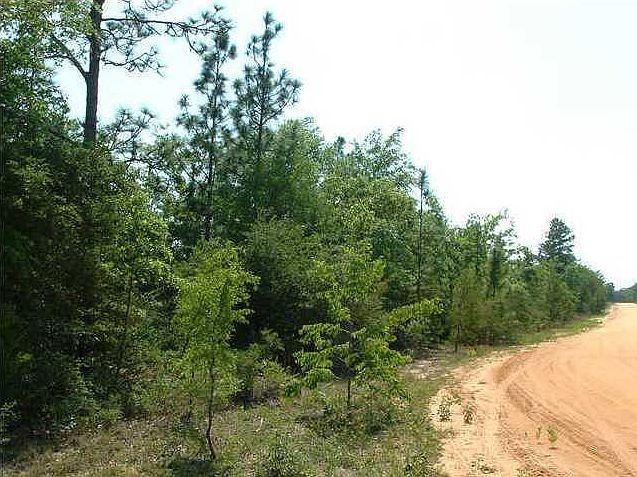 2nd image of Mare Creek Dr