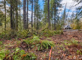 55011 315th Ave E, Ashford, WA