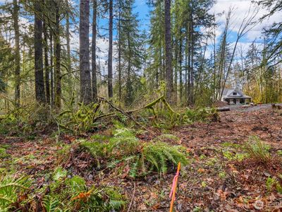 55011 315th Avenue E, Ashford, WA, 98304