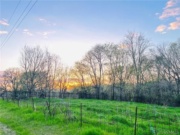 0 Happy Holow St, Livingston, AL 35470