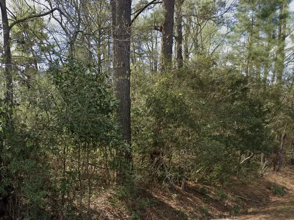 0 Ginn Altman Ave, Hampton, SC 29924