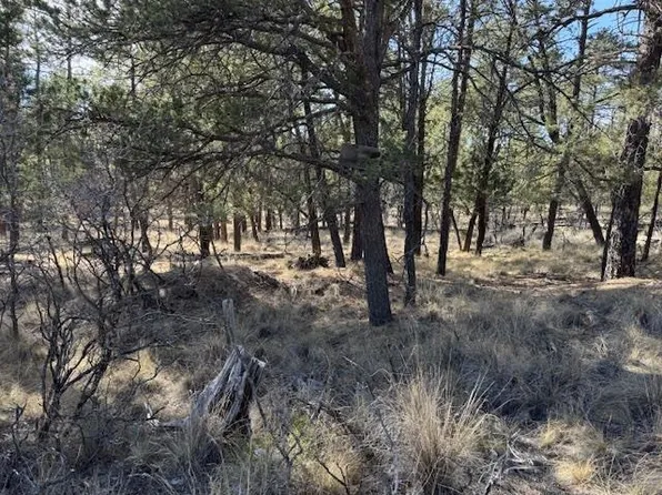 4 Aberden St, Timberon, NM 88350