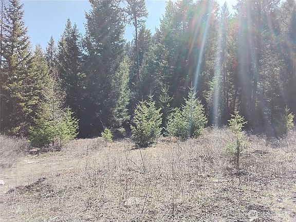 5th image of 0 Cougar Loop Drive