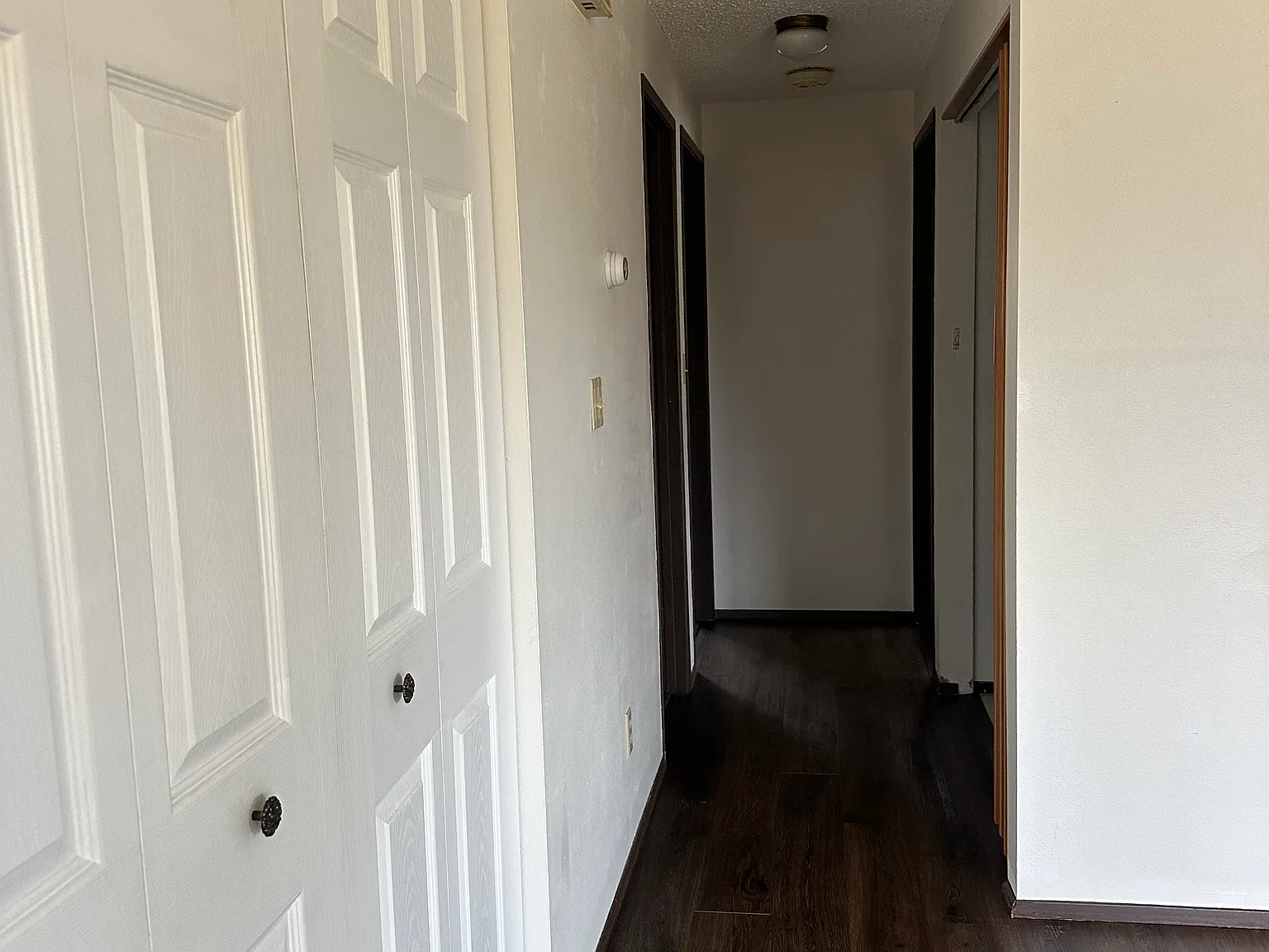 2 bed, 900 sqft, $1,650 — Photo 4