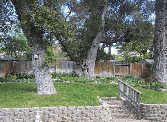 2nd image of 4565 Mananita Ave