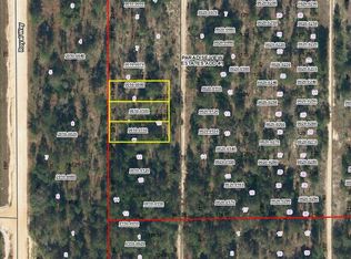 SW 59th Ave Lot 9, Interlachen, FL 32148