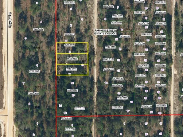 SW 59th Ave Lot 9, Interlachen, FL 32148