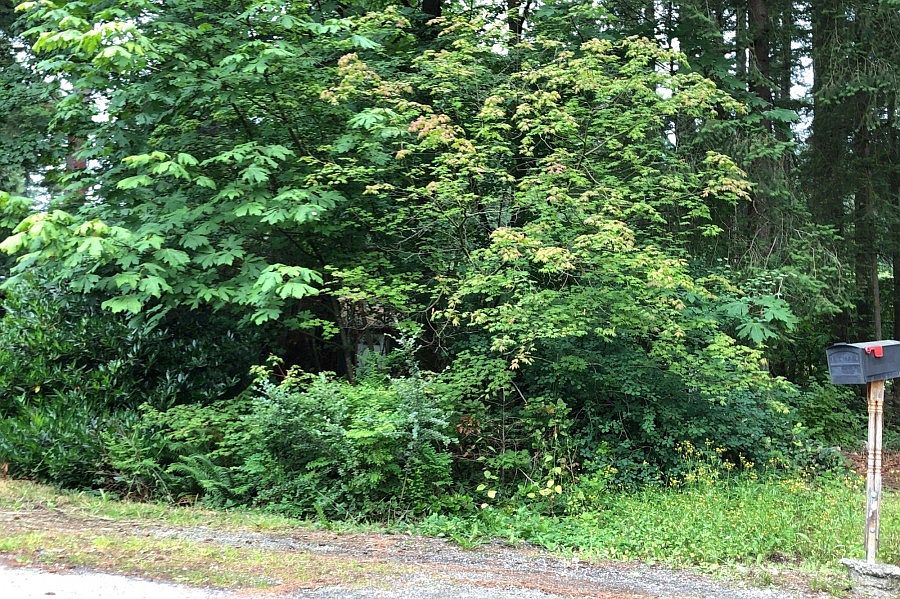 2nd image of 14726 446th Ave SE