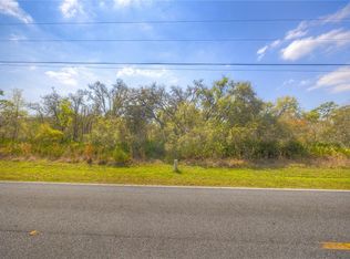 35166 Cornerstone Dr Lot 4, Webster, FL 33597