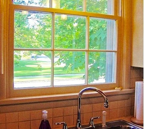 view from kitchen sink