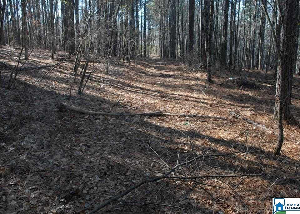 1st image of 1076 Highway 36 Lot 1