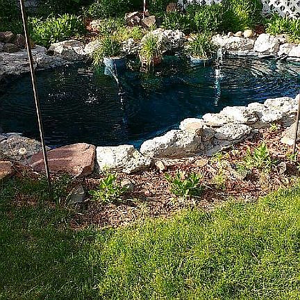 Pond Mid-Summer