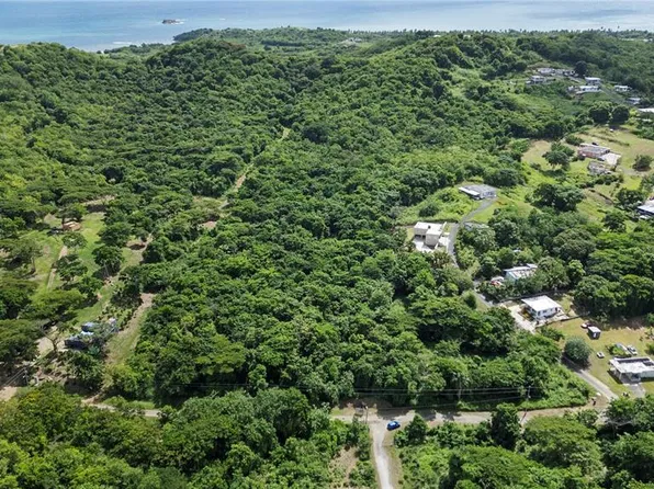 BO. BUENA VISTA, HUMACAO, PR 00791