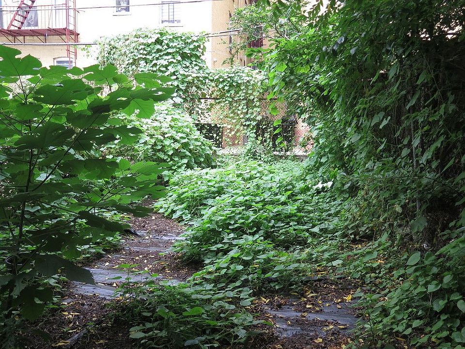 1st image of 197 Hart St #Garden1r