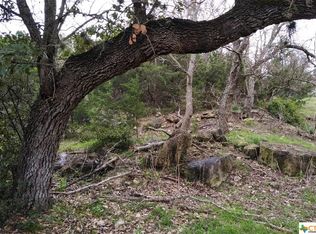 1251 Lakeside Dr E, Canyon Lake, TX 78133