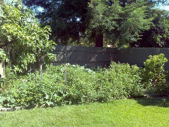 3rd image of 1049 Fleda Ave