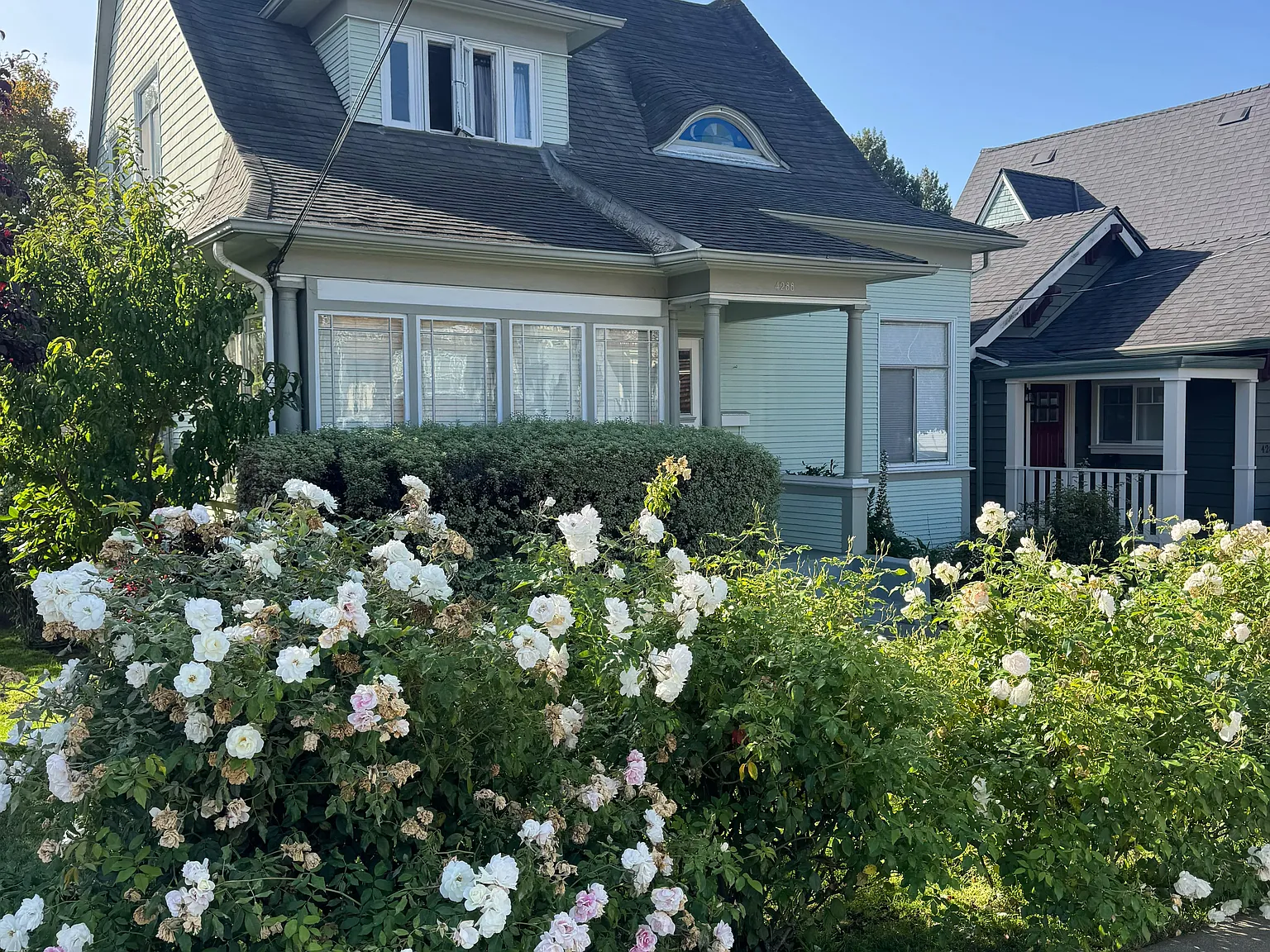 2 bed, $4,500 — Photo 3