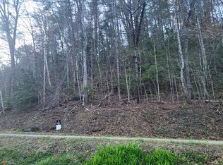 4 Myra Branch Rd, Helen, GA 30545