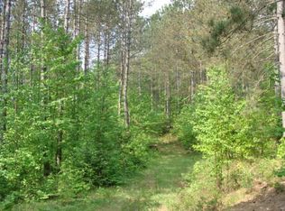 40AC Off Sand Lake Rd, Harshaw, WI 54529