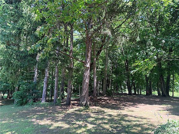4th image of 6529 Miller Rd