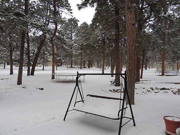 Winter back yard scene