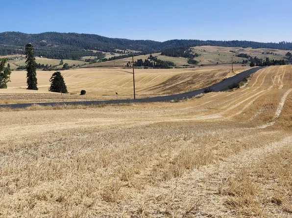 S 8002 Jackson Rd, Mica, WA 99023