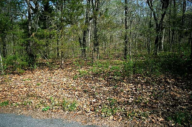 1st image of Bayhill Ln