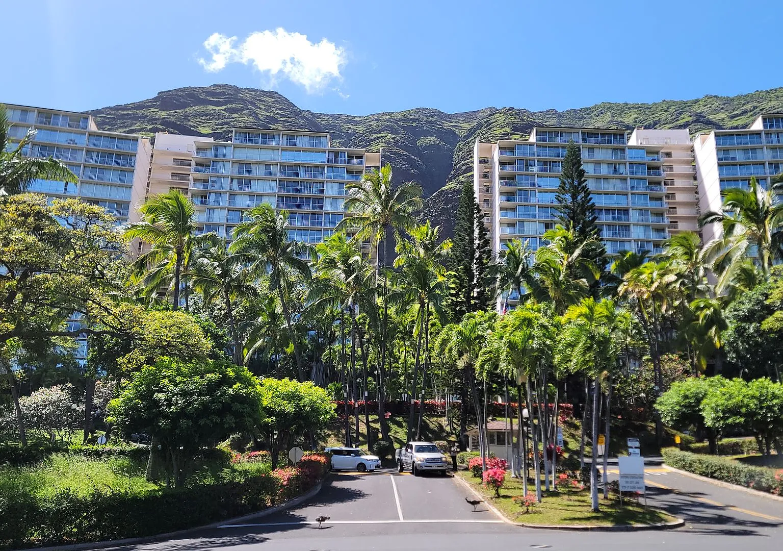 Tranquil 1 Bedroom Apartment Located in the Makaha Valley Towers Complex. — Photo 1