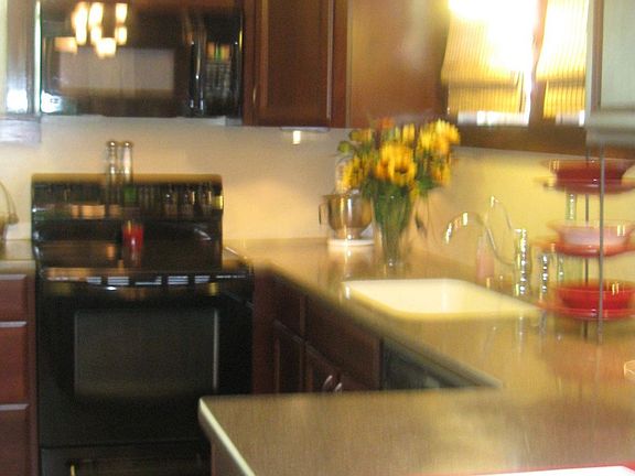 View from dining area