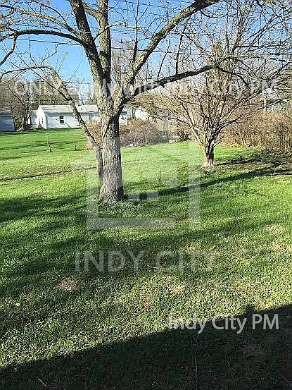 3 bed, 1.0 bath, 900 sqft, $1,500 — Photo 2