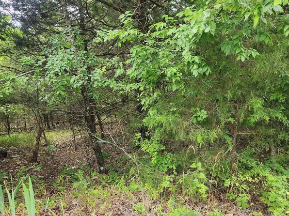 L-22-B Topez Dr #4, Cherokee Village, AR 72529