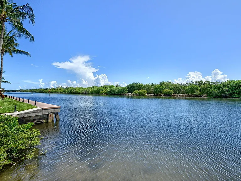 1041 Kokomo Key Ln — Photo 42