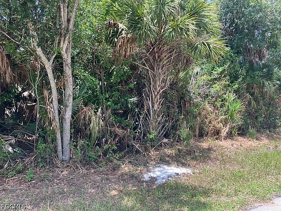 3rd image of 7219 Freeberg Cir