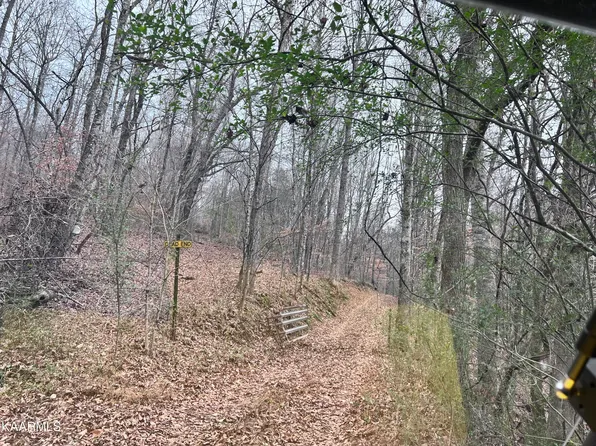 3408 Flat Hollow Rd, Speedwell, TN 37870
