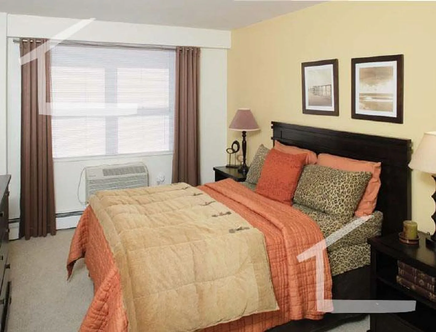 2bed 1.5bath in Brookline — Photo 2