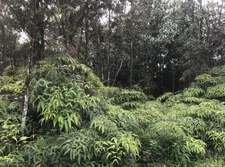 17th St LOT 175, Keaau, HI 96749