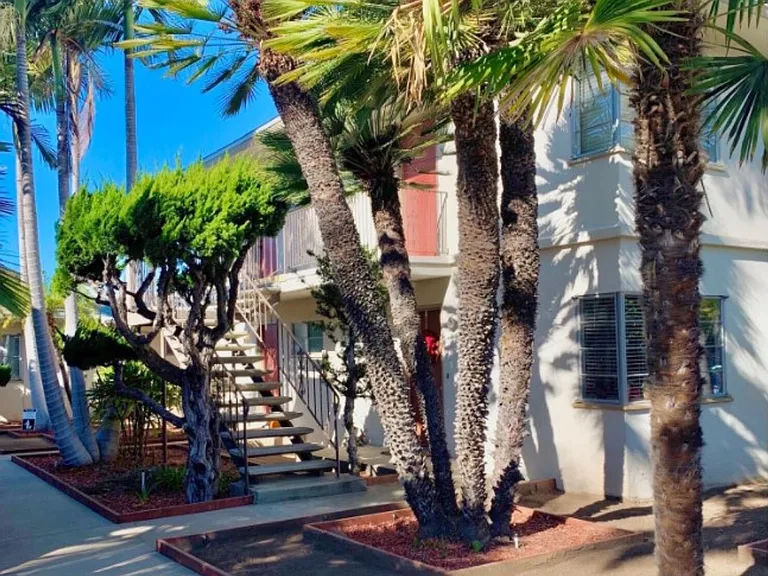 Antone Apartments — Photo 1