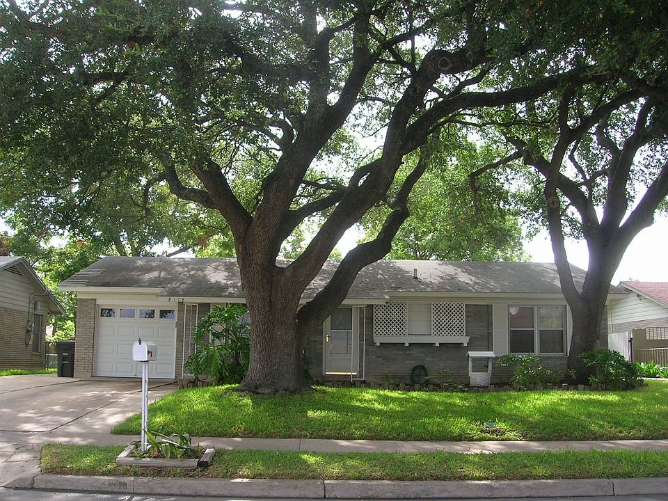 Huge beautiful oak trees