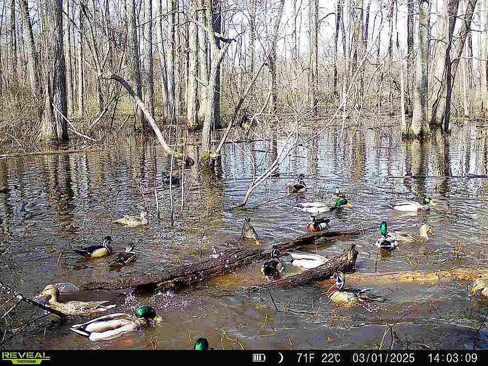 1st image of 483 Phillips Rd #131