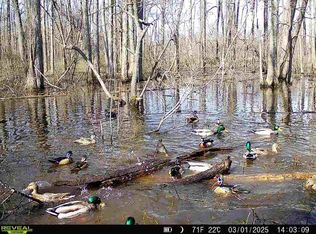 483 Phillips Rd #131, Marvell, AR 72366