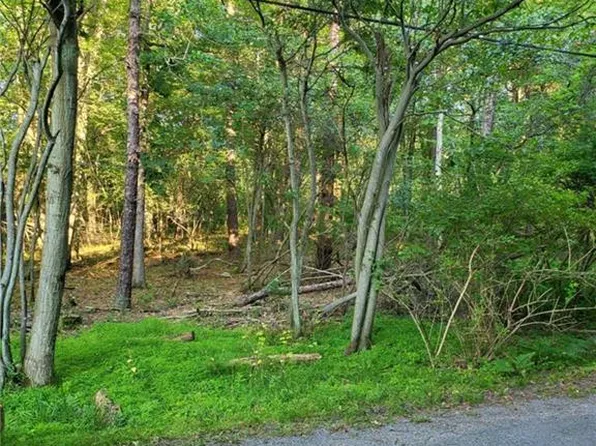 5120 Pine Tree Ln #808-809, Pocono Summit, PA 18346