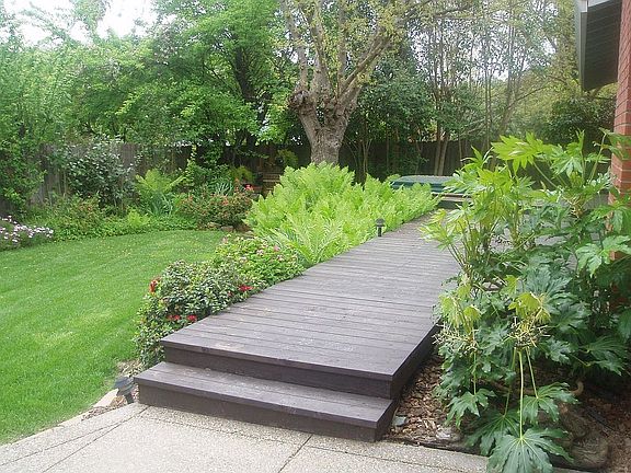 Professionally Landscaped Backyard