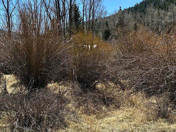 4th image of Lot 48 Cottonwood Drive