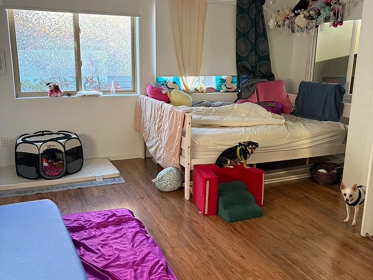 205 Jacob Ln — Photo 3