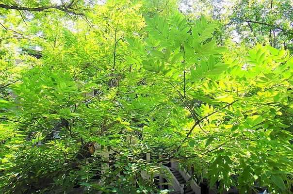 Rented by Balass Ralph, LREB | media 13