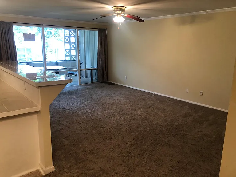 7519 Spring Lake Dr #C1 — Photo 12