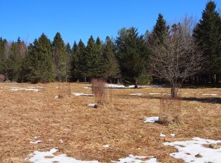 227 Jones Rd, Mount Vision, NY 13810